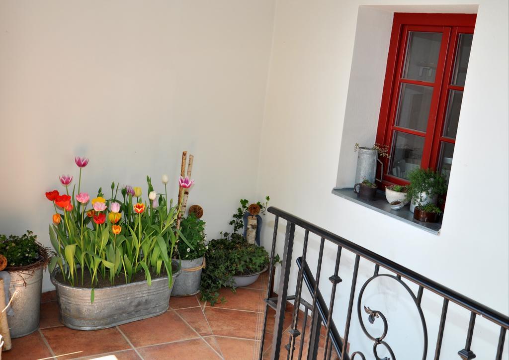 Apartmany U Vavrince Sušice المظهر الخارجي الصورة